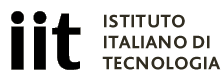 IIT Logo